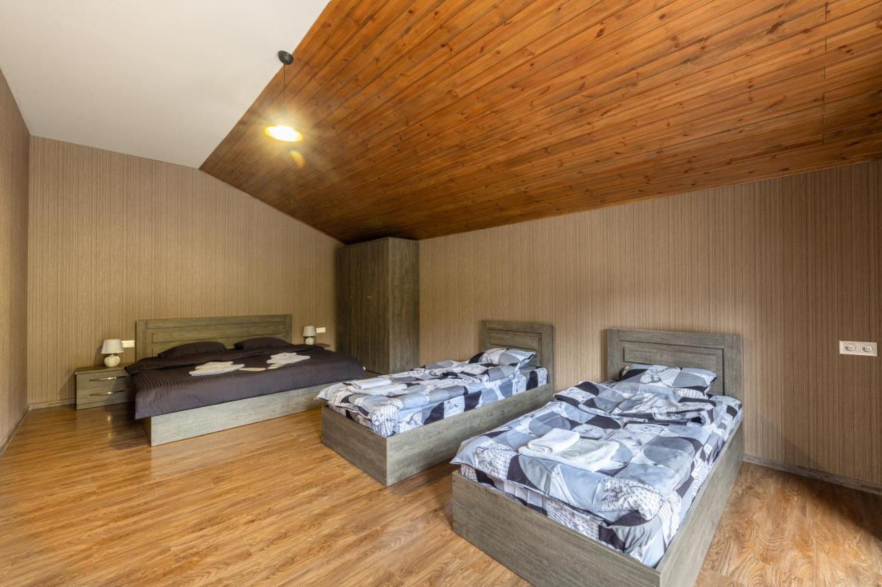 - Didveli Residence Lux Apartments - バクリアニ エクステリア 写真