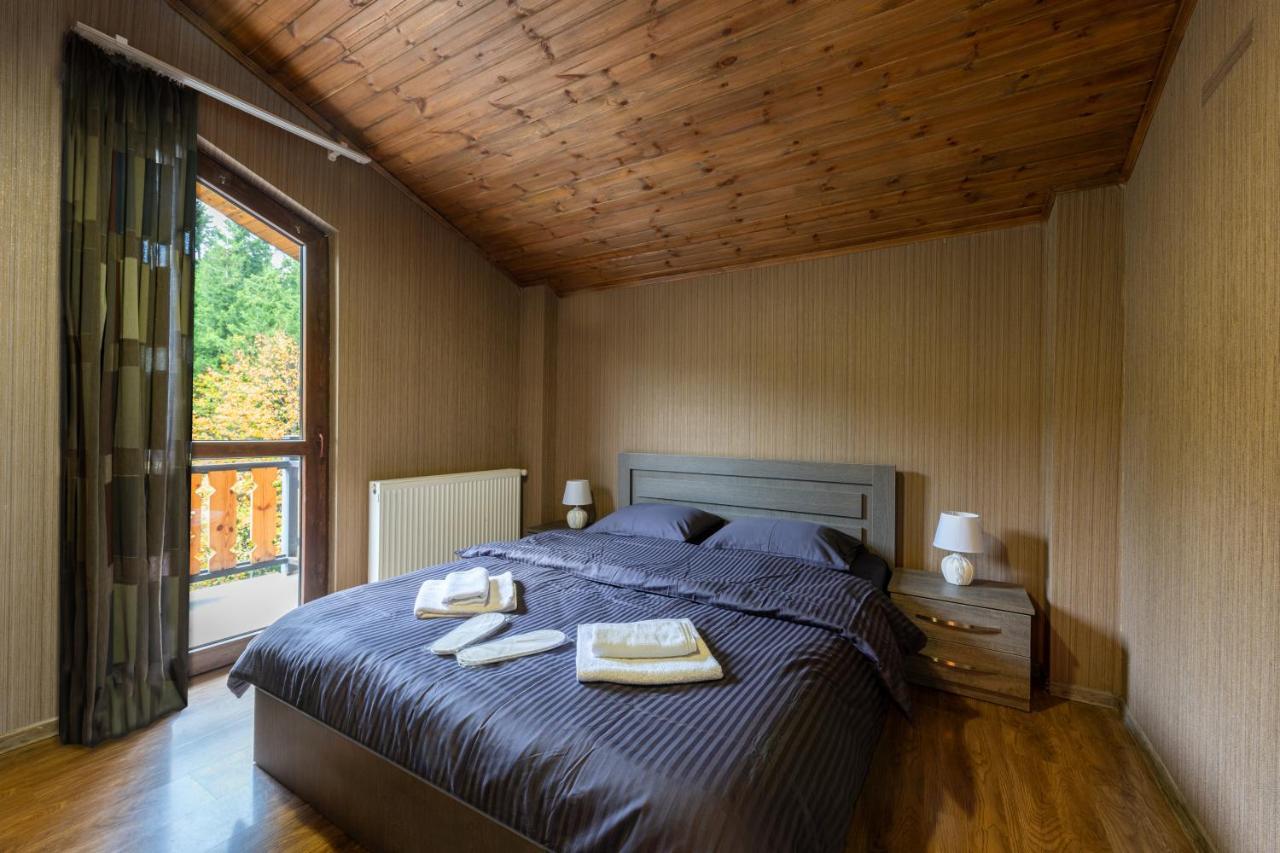 - Didveli Residence Lux Apartments - バクリアニ エクステリア 写真